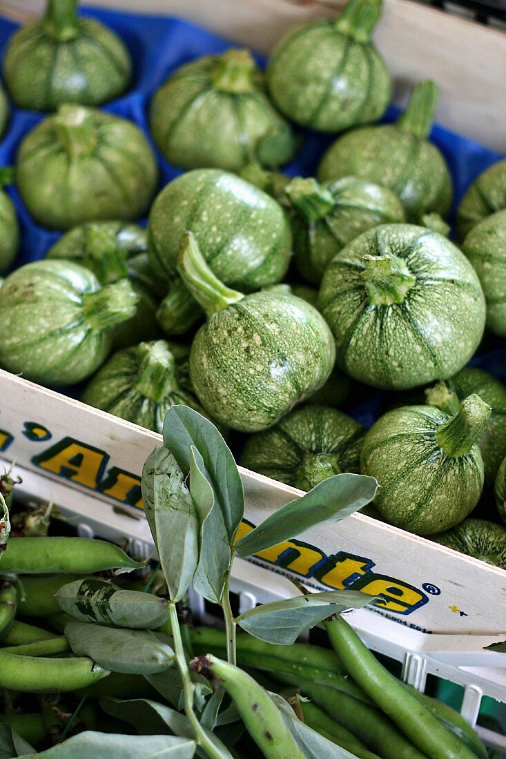 Runde Zucchini in Steige, davor Erbsenschoten