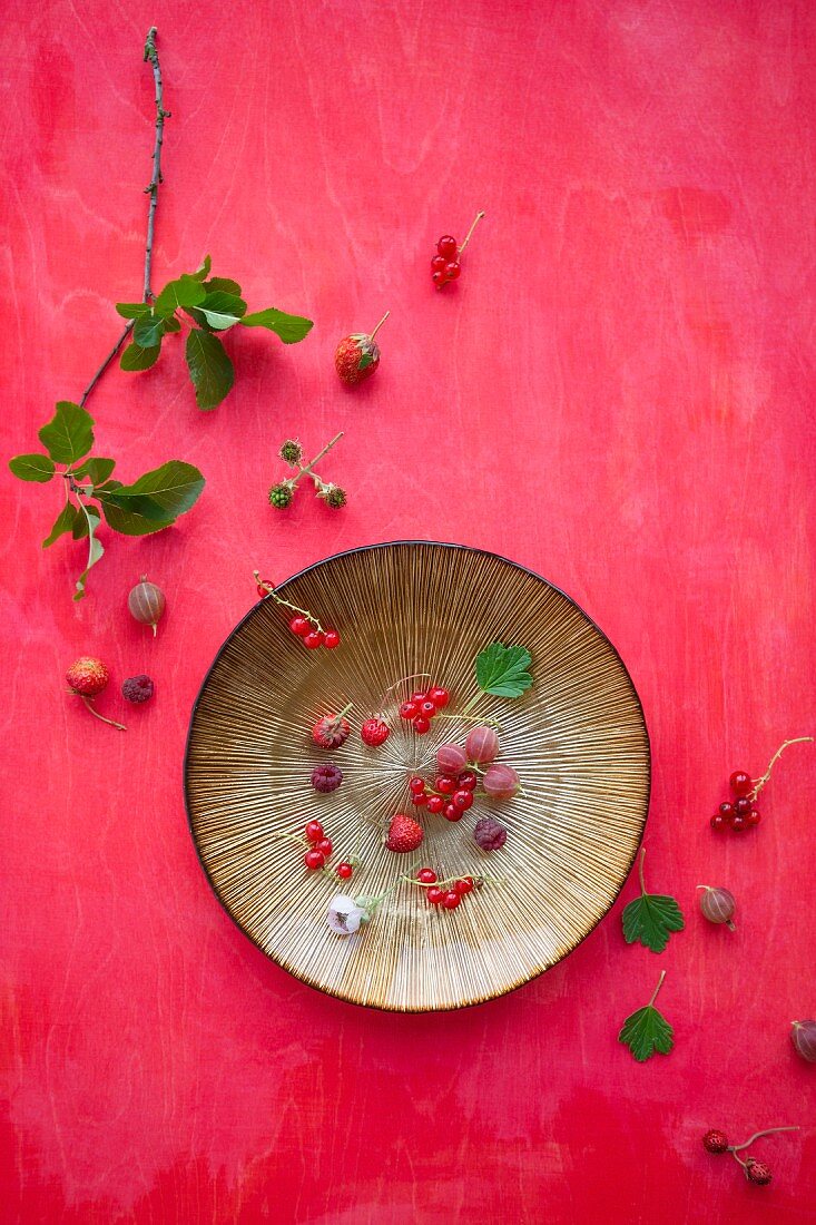 Raspberries, redcurrants, gooseberries and wild strawberries on a plate