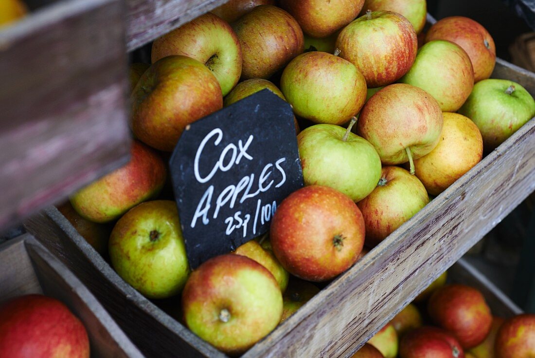 Viele Cox-Äpfel in Holzkiste