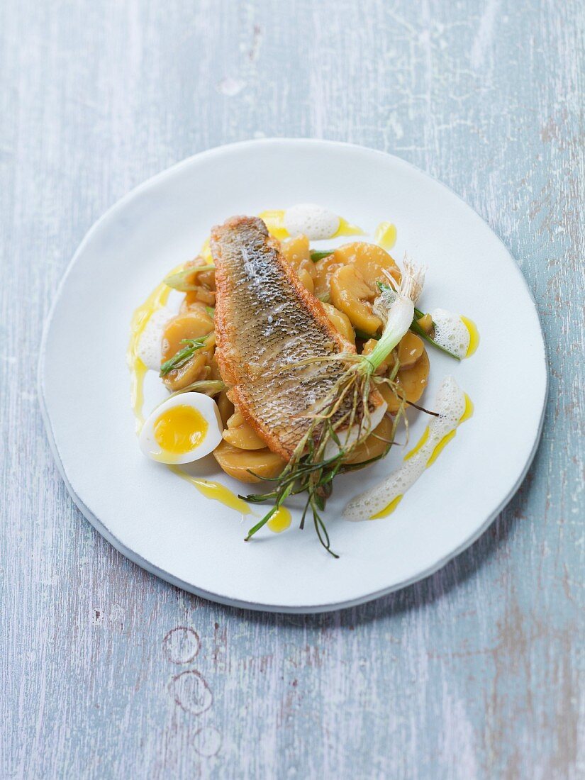 Perch fillet with potato salad, spring onions and egg