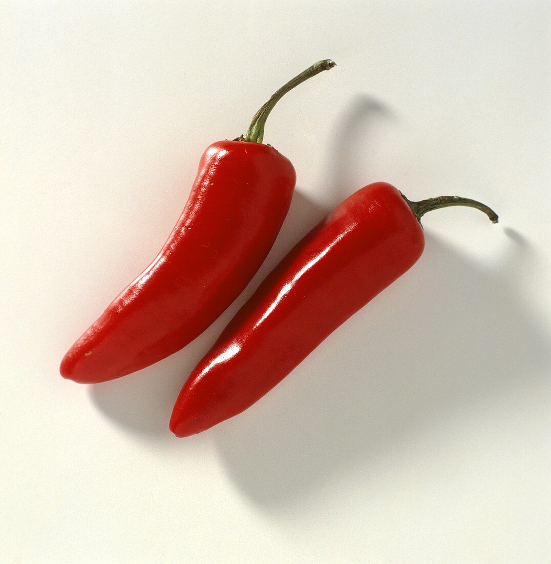 Two red chili peppers (Serrano chile)