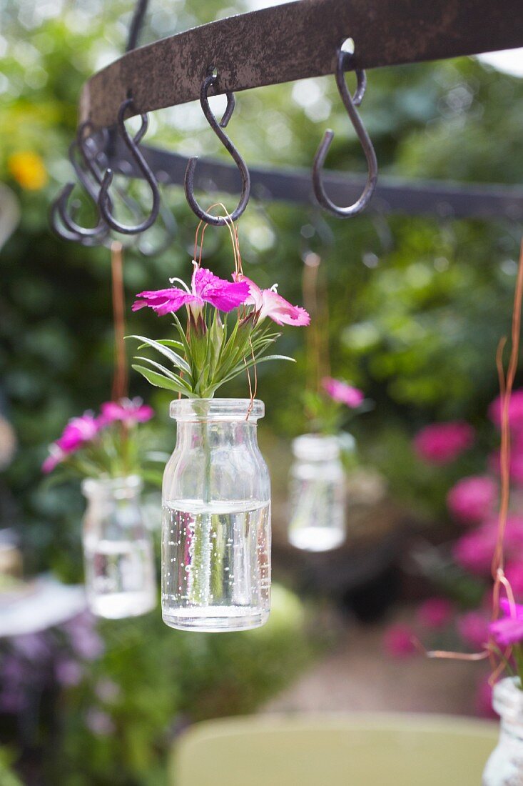 Flowers in glass jars hanging from hooks in a garden