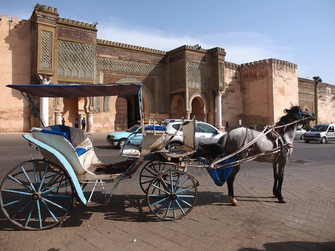 A horse and coach in front of His Majesty's Palace in Meknes, one of the four royal cities in Morocco