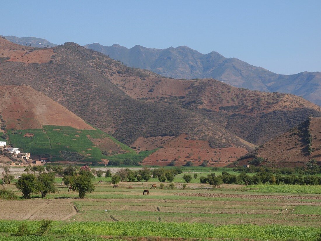 Blick ins Hinterland auf der Fahrt von Tetouan nach Al Hoceima, Marokko