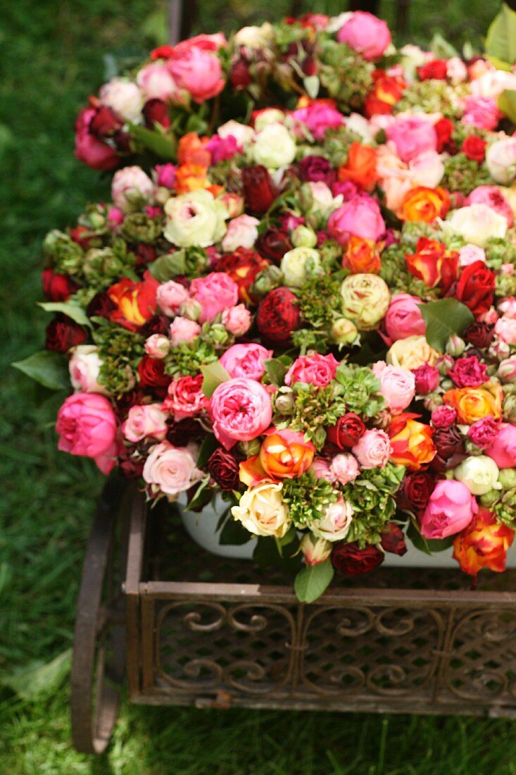 Spray roses in metal cart