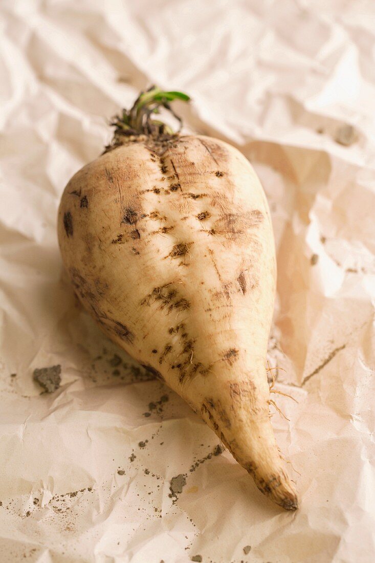 A sugar beet on a piece of paper