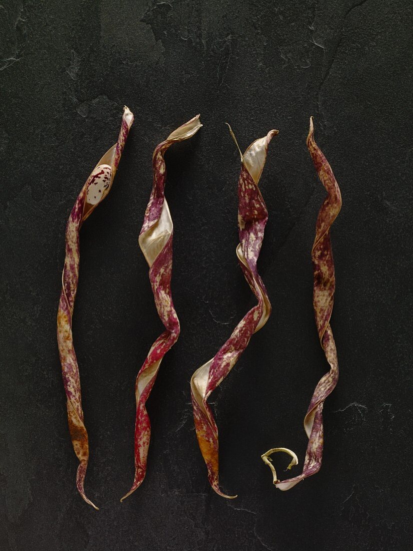 Abstractly shaped borlotti bean pods drying out on a slate
