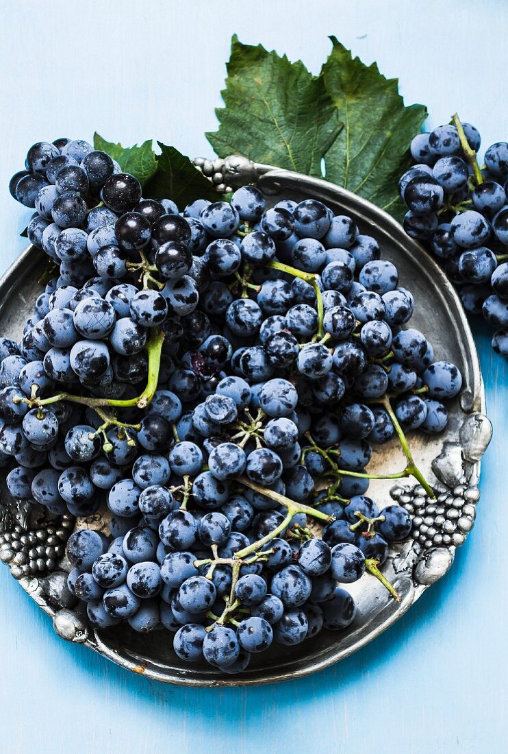 Blue grapes on a metal plate