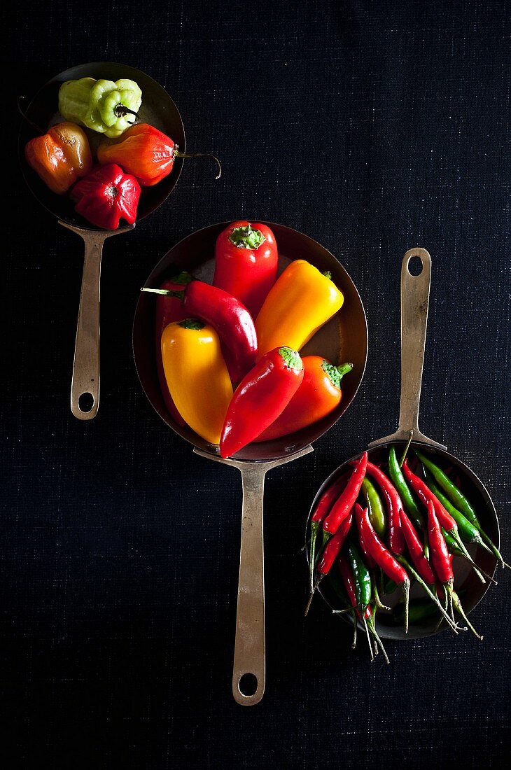 Various different chilli peppers in pans (seen from above)