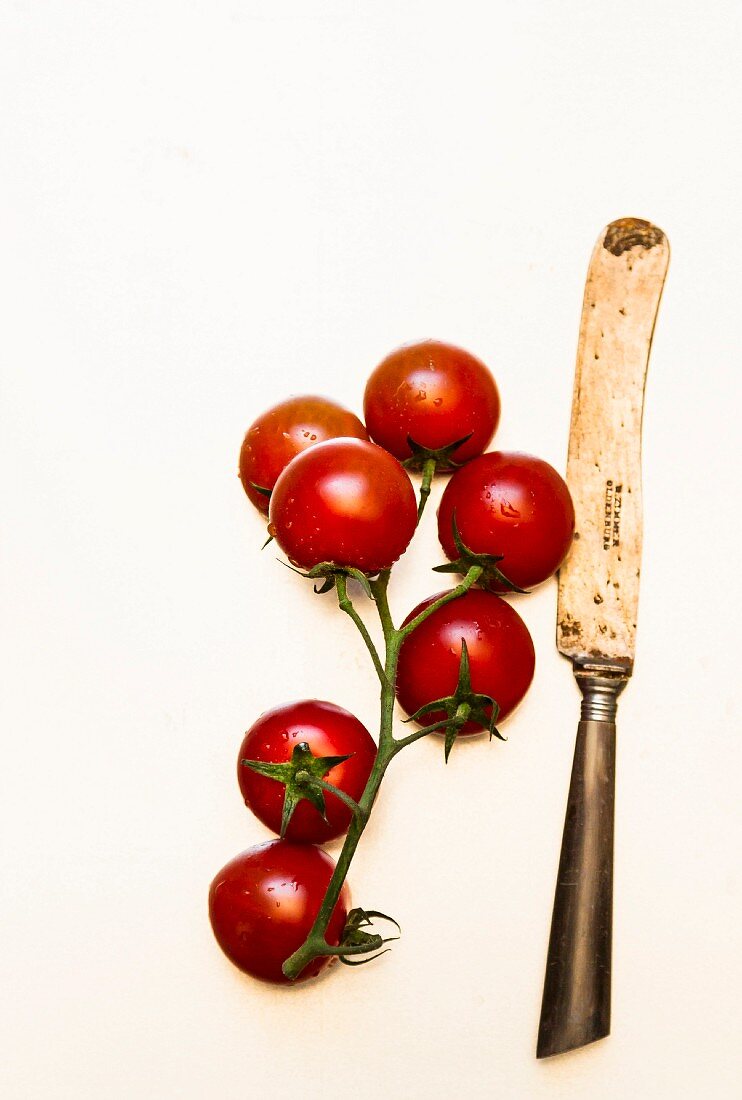 Vine tomatoes and an old knife