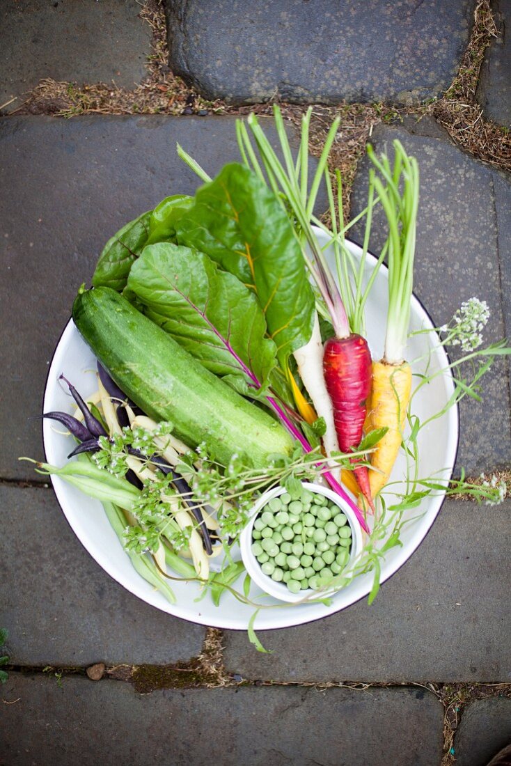 Fresh organic vegetables