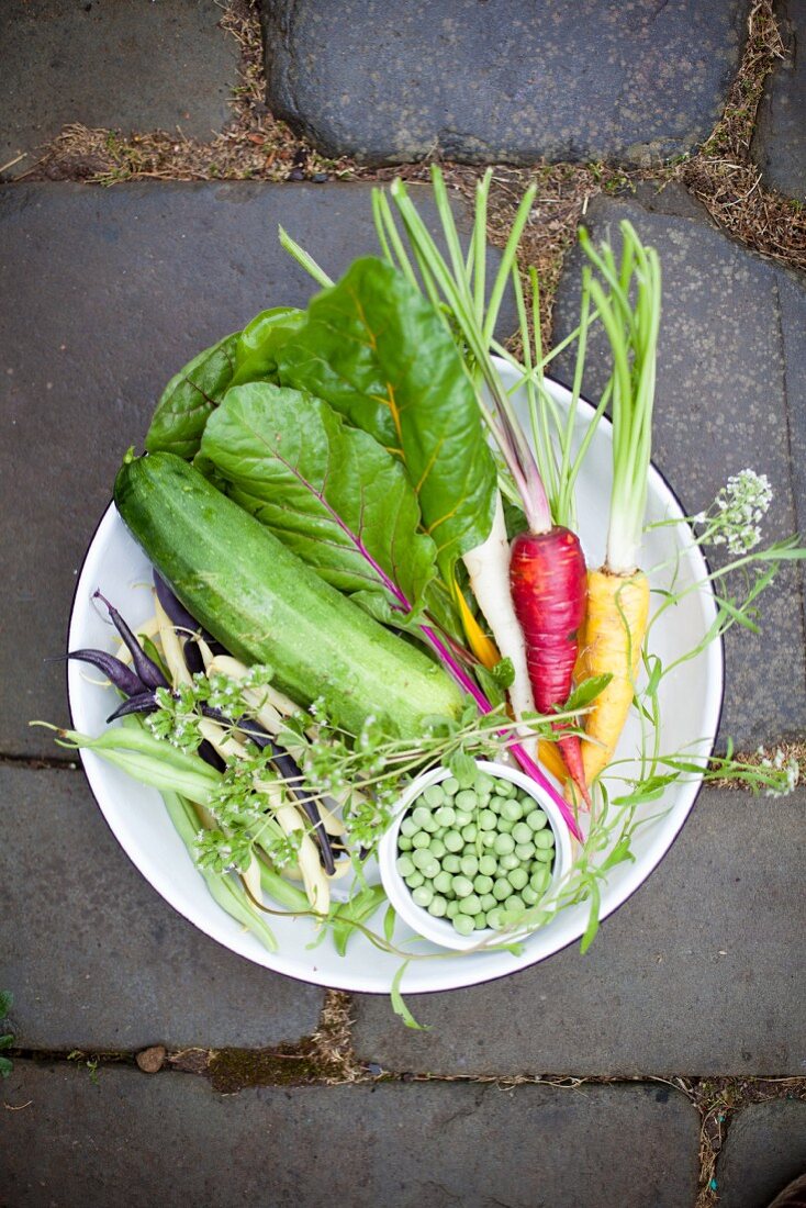 Frisches Gemüse aus dem Biogarten