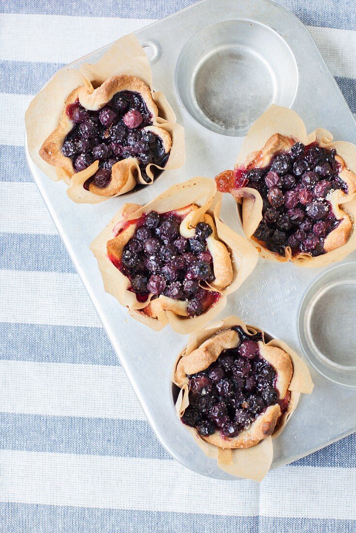 Blueberry tarts in a baking tin