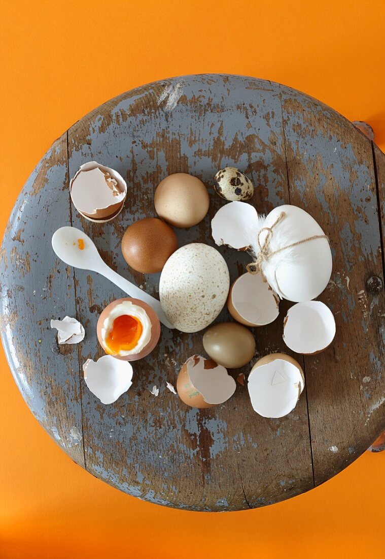 Various eggs, eggshells and a soft-boiled egg on the vintage stool
