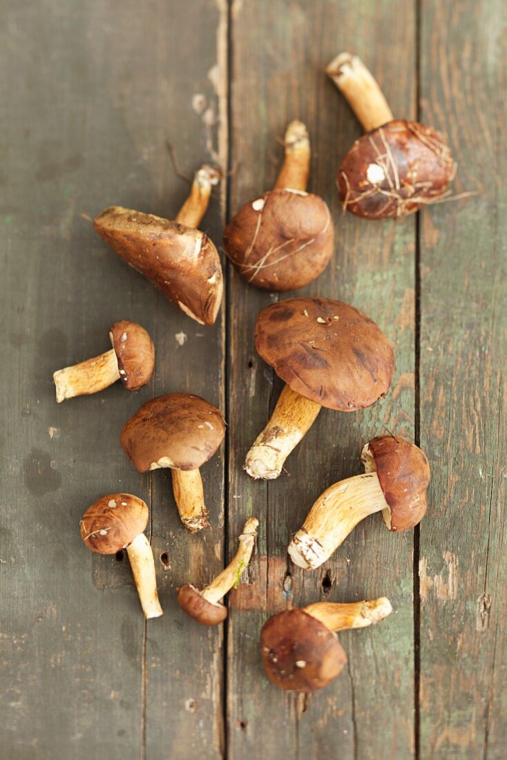 Bay boletes on a rustic wooden table