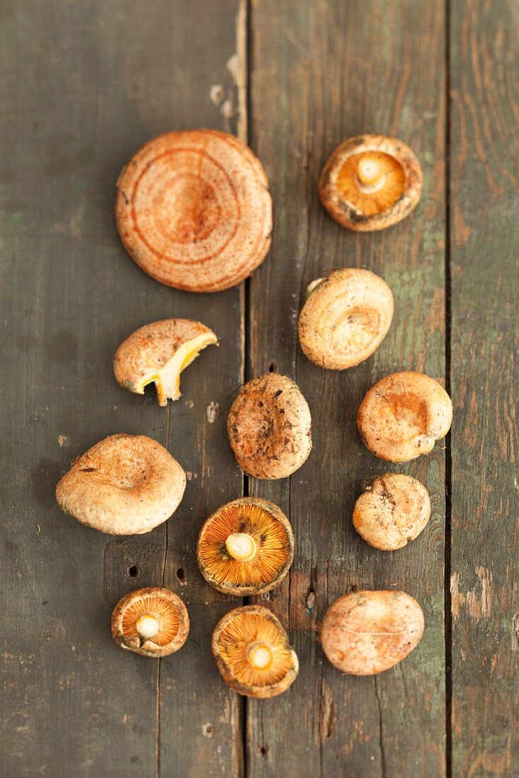 Red pine mushrooms (lactarius deliciosus)
