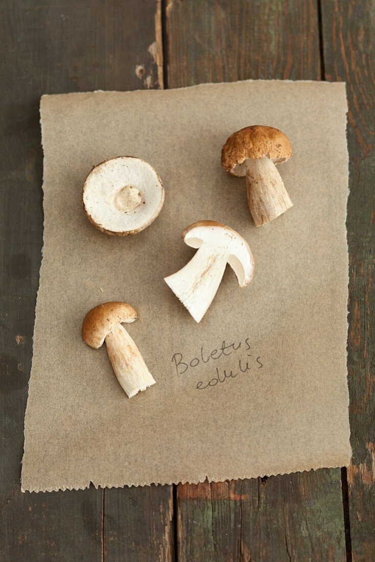 Porcini mushrooms on a piece of paper