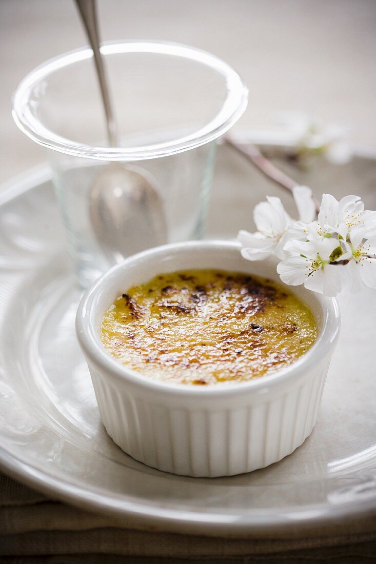 Crème brûlée mit Vanille