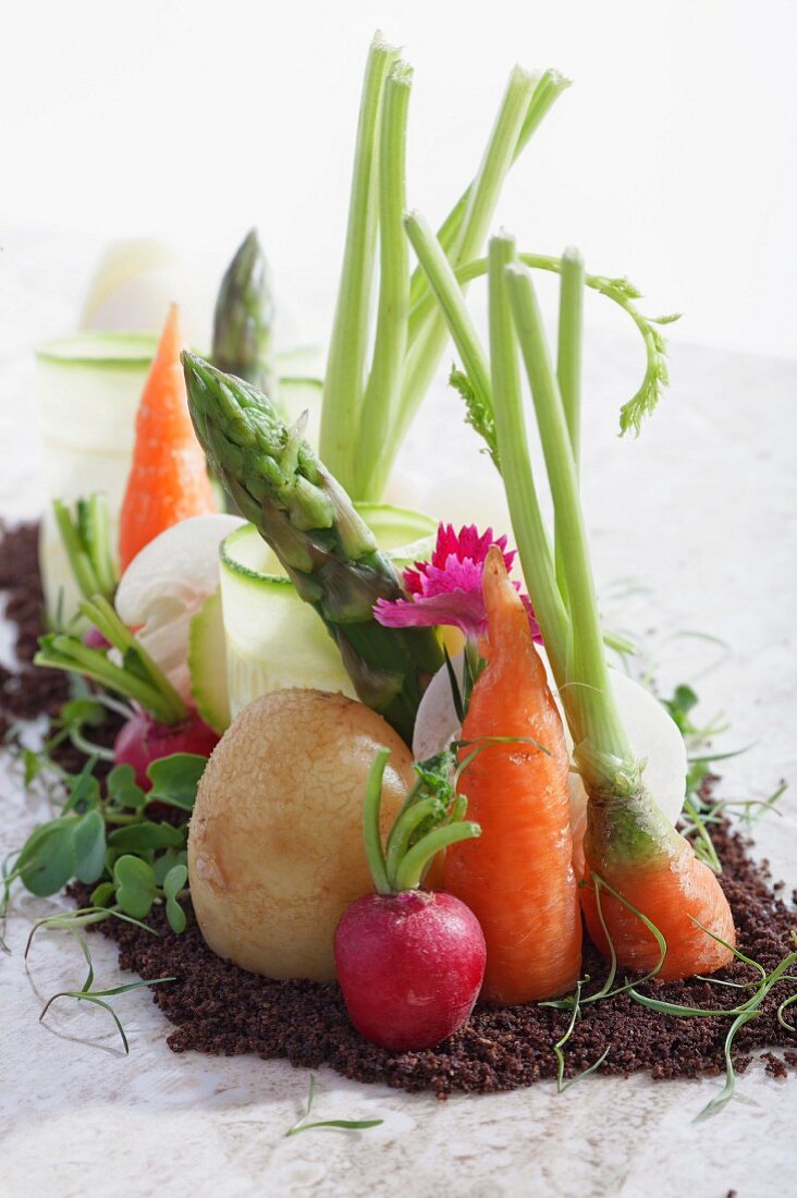 An arrangement of various different vegetables in soil