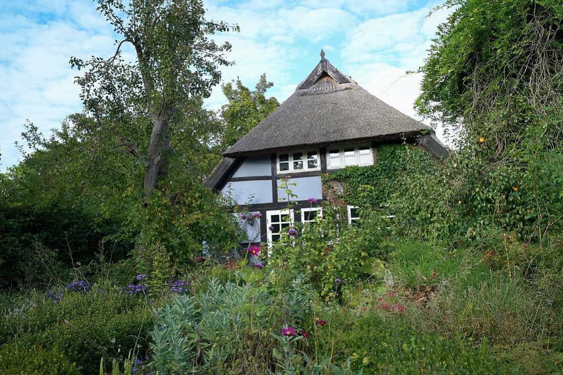 A thatched roof house with a garden in Quilitz on Usedom
