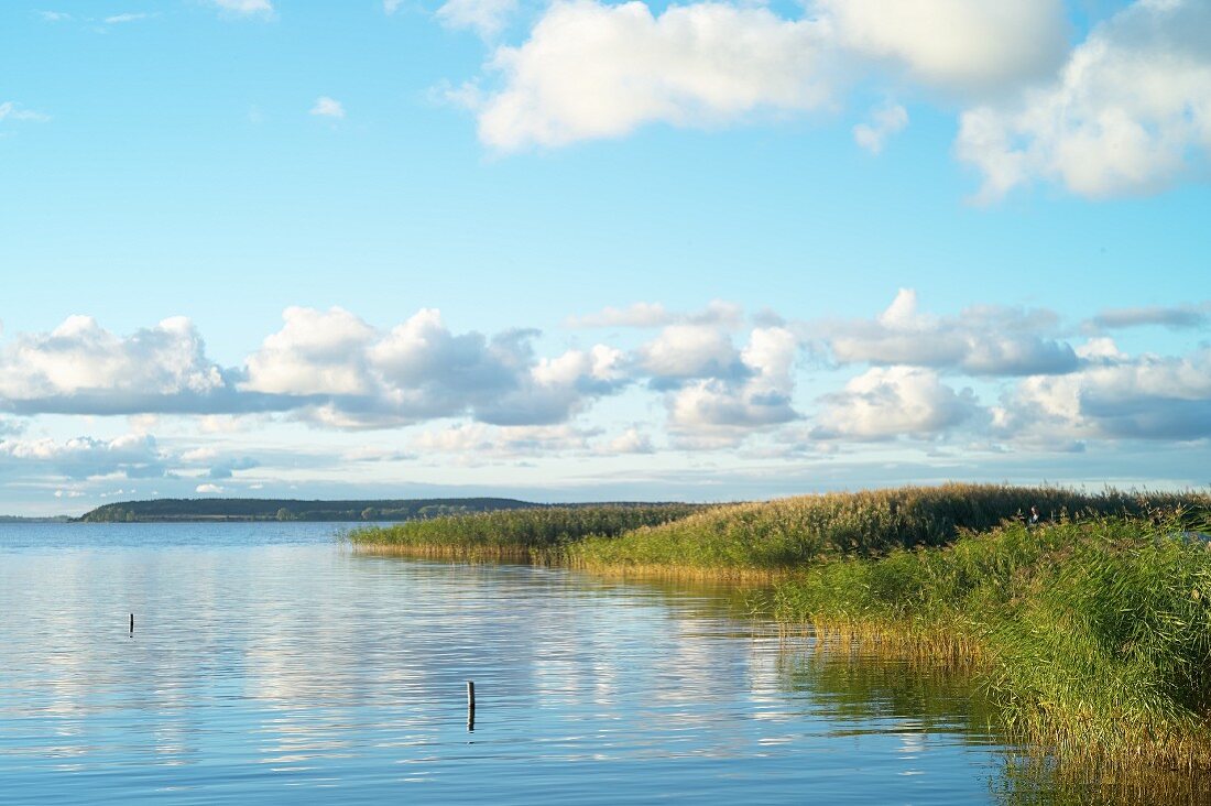 Der Lieper Winkel auf Usedom