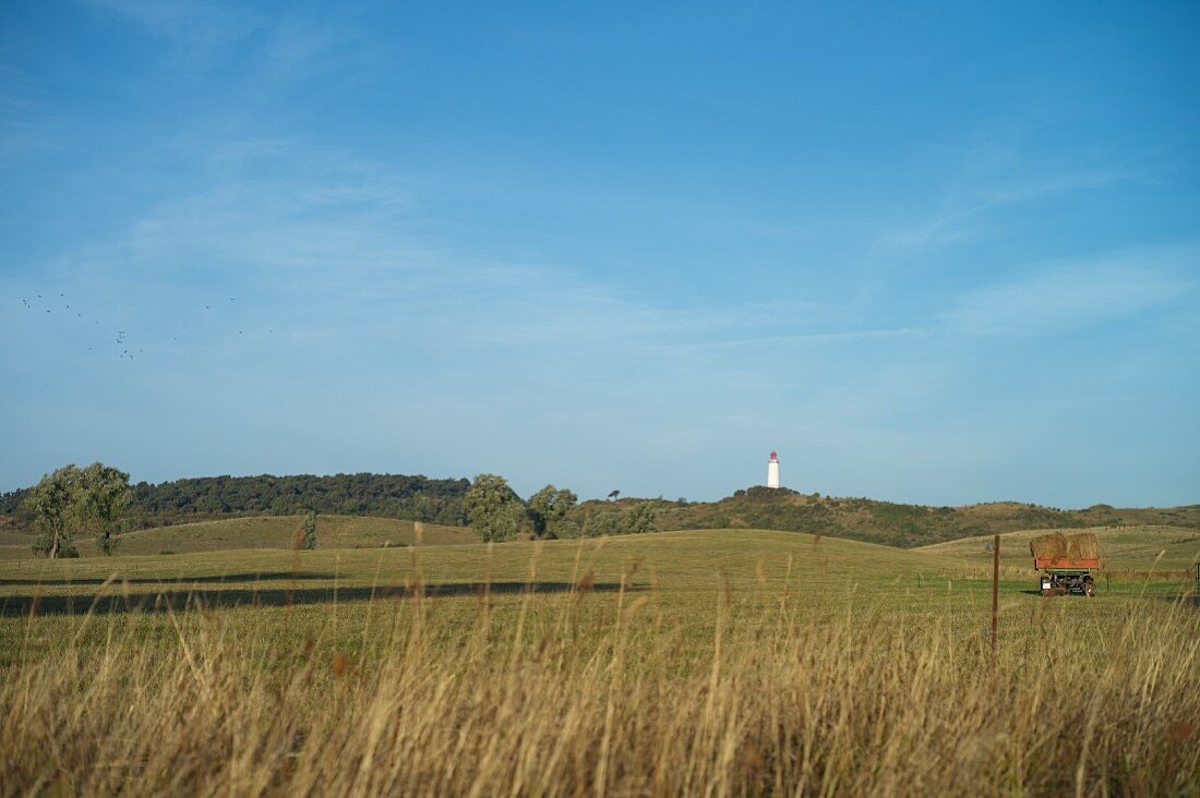 Blick von Grieben Richtung Leuchtturm auf dem Dornbusch, Vorpommersche Boddenlandschaft