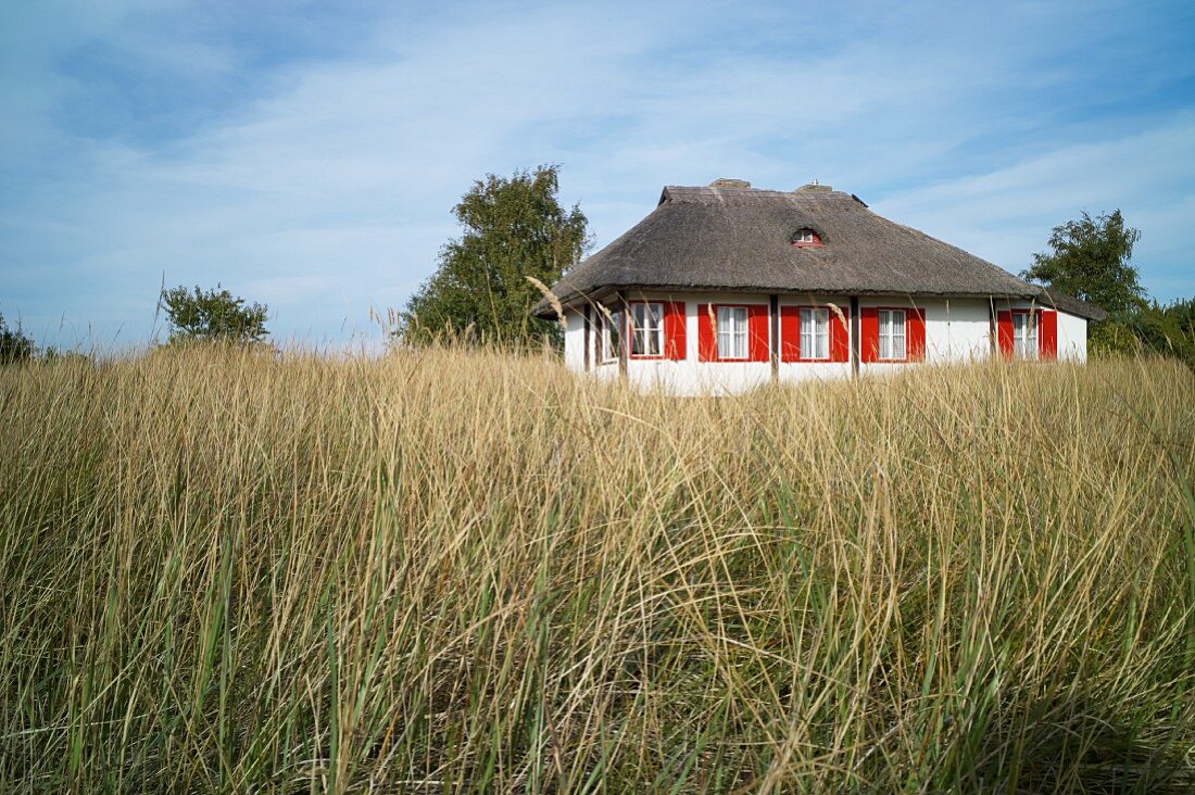 Thatched roofed houses with red shutters near Neuendorf, Hiddensee