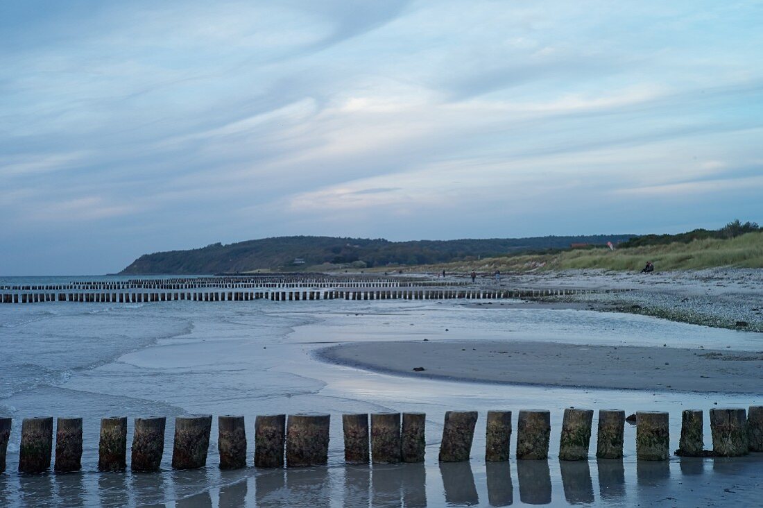 A view of the Vitte Bay with wooden stakes at dusk, Vorpommern Boddenlandschaft