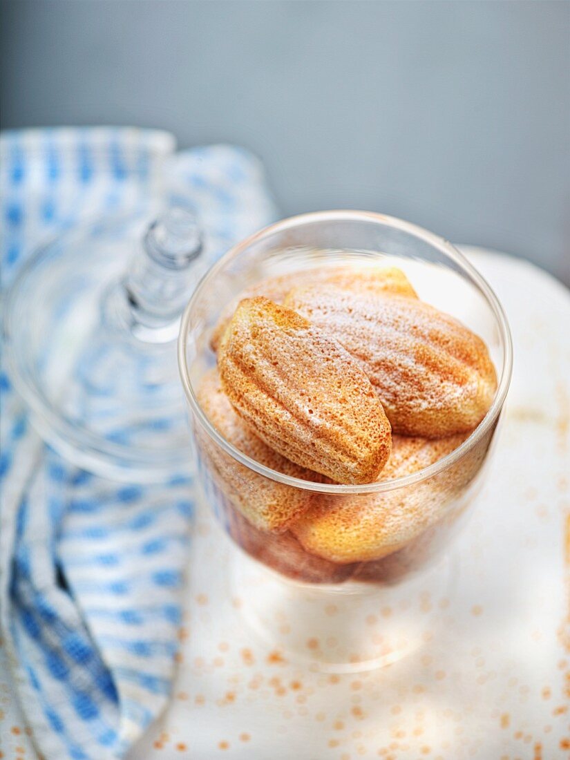 Madeleines with icing sugar