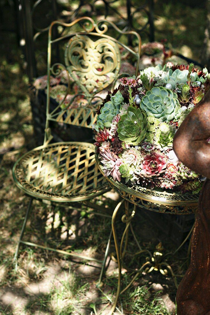 Garden chair next to small metal table with sempervivums planted on top