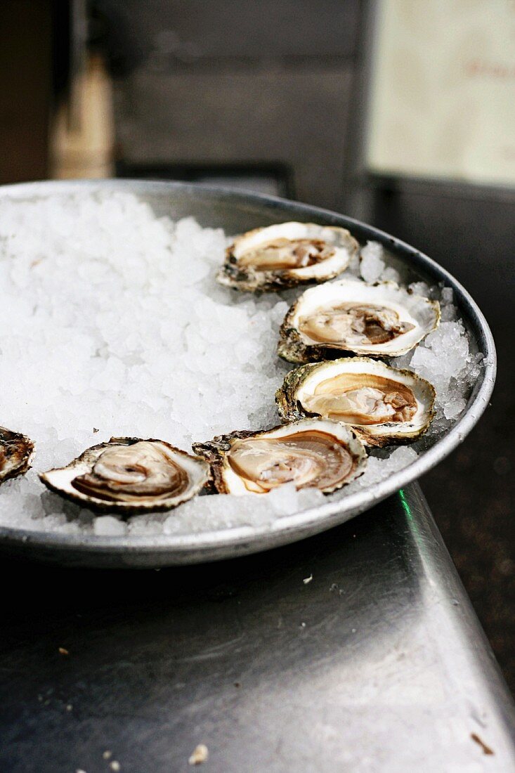 Fresh Oysters on Ice