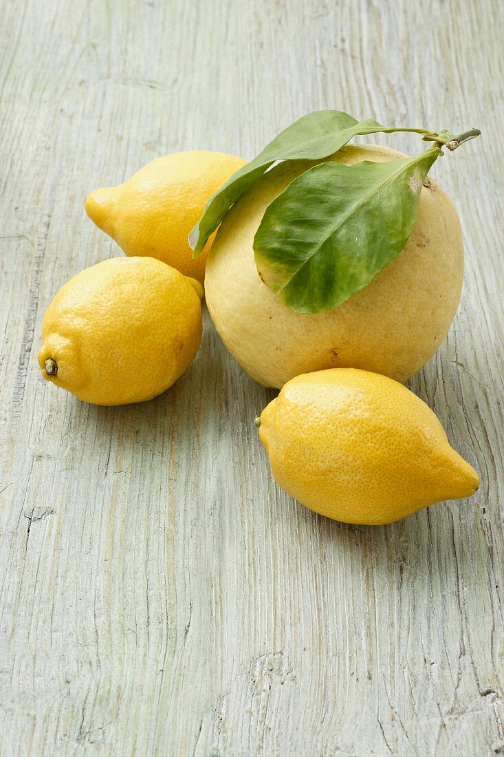 Zedratzitrone und drei Zitronen