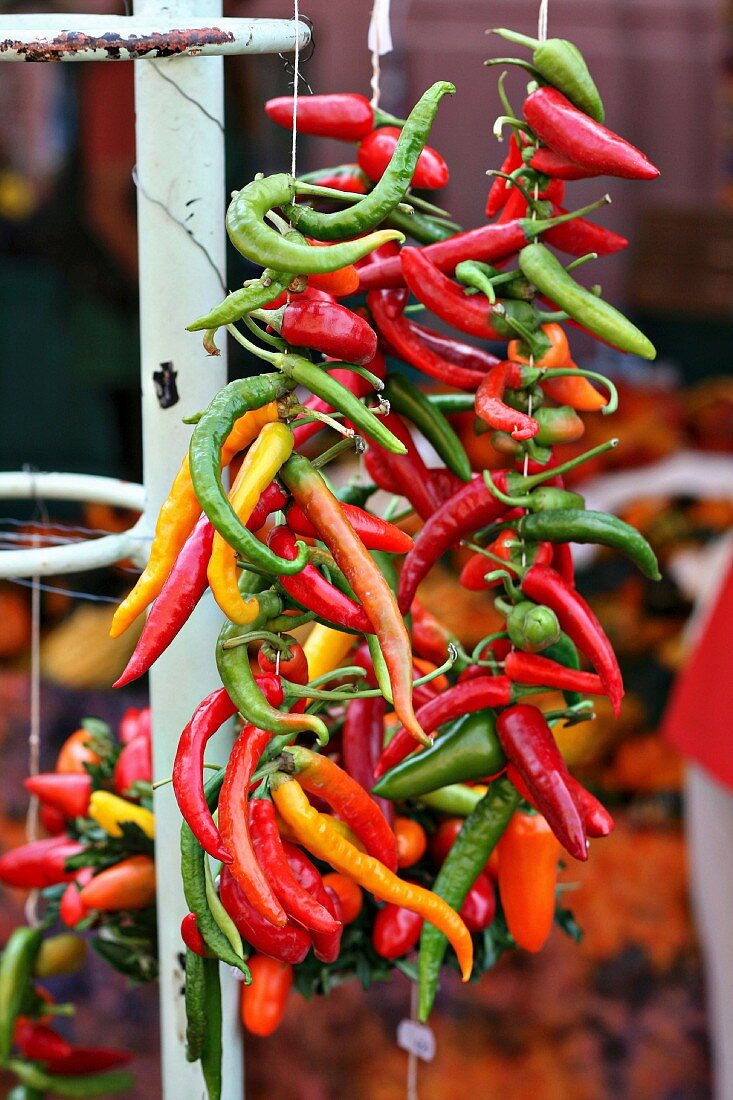 A garland of colourful chilli peppers
