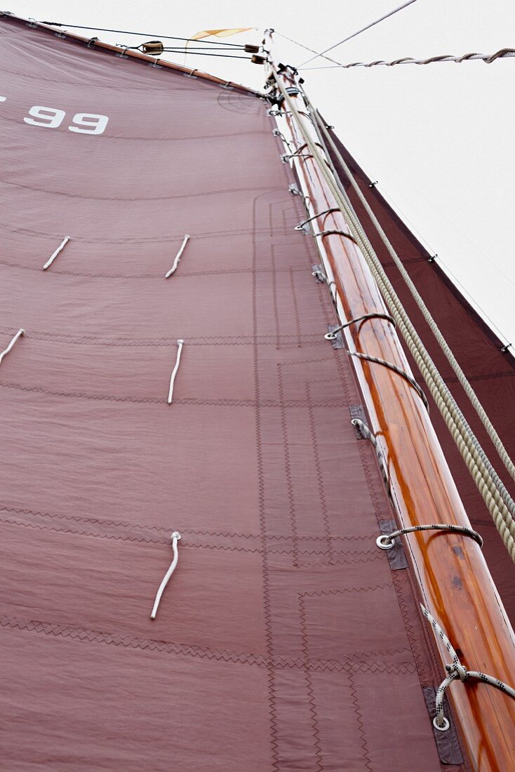 Traditionell mit Teer, Talg, Lebertran und Ochsenblut bearbeitetes Segel eines Segelbootes