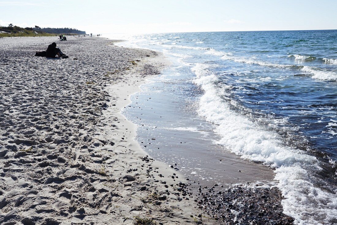 Darss west beach on the Baltic Sea