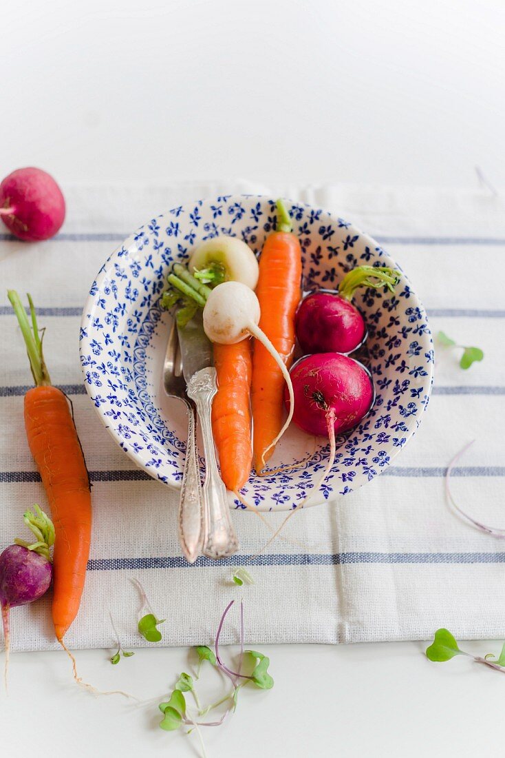 Radishes and carrots