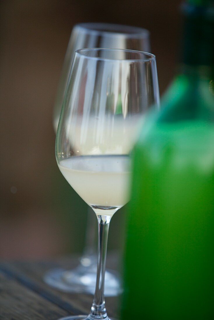 Glasses of Federweisser (a cloudy beverage in the process of fermenting, somewhere in between must and wine)