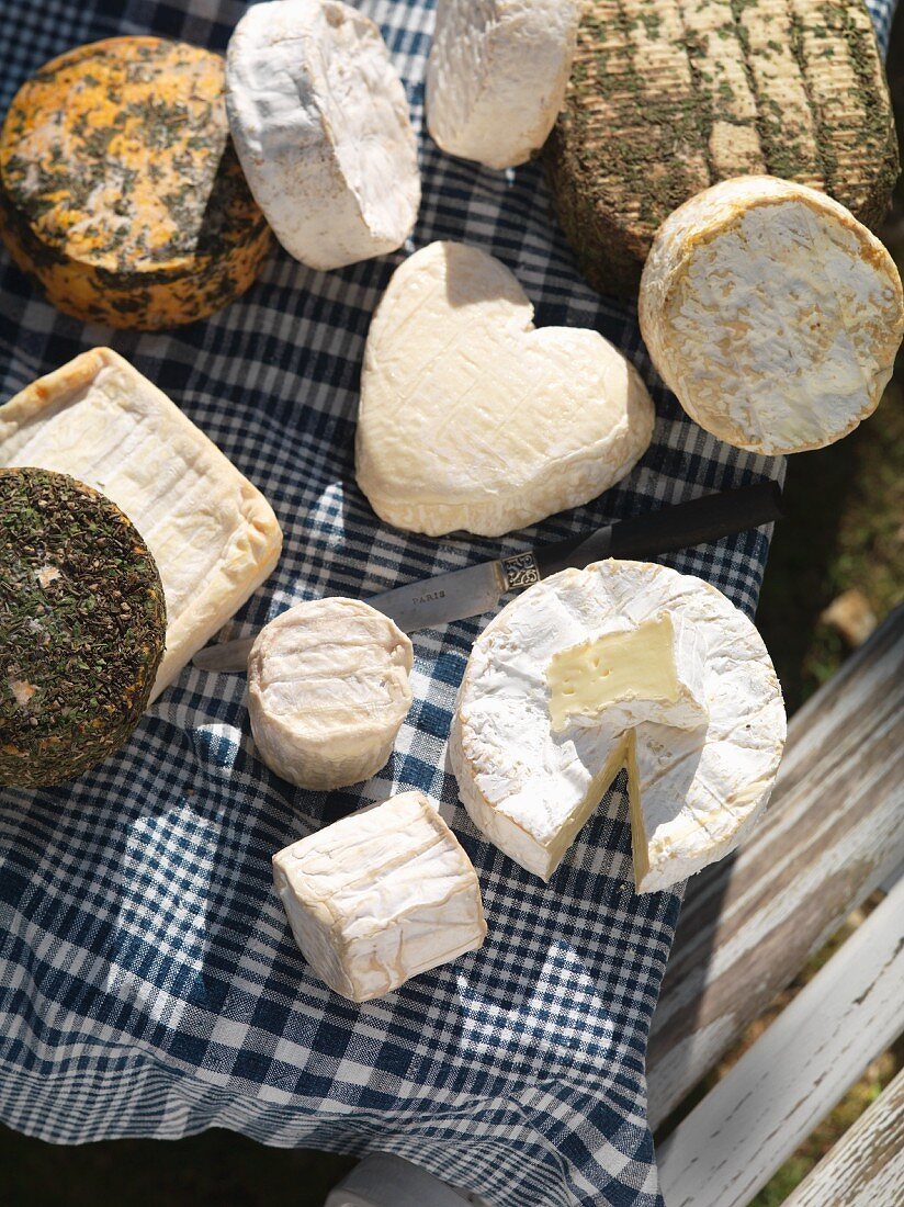 Various types of cheese from Normandy