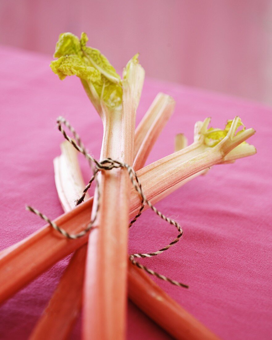 Fresh rhubarb stalks on a pink tablecloth