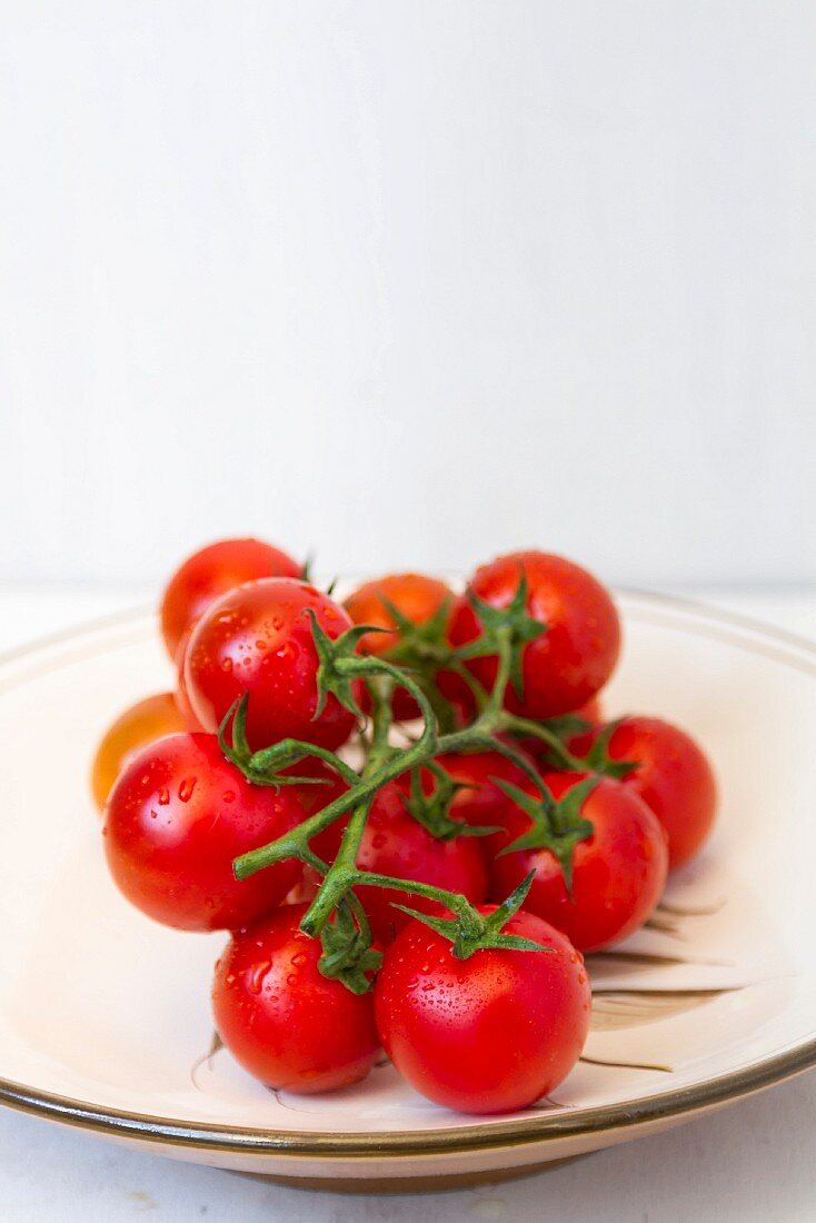 Vine tomatoes on a white plate