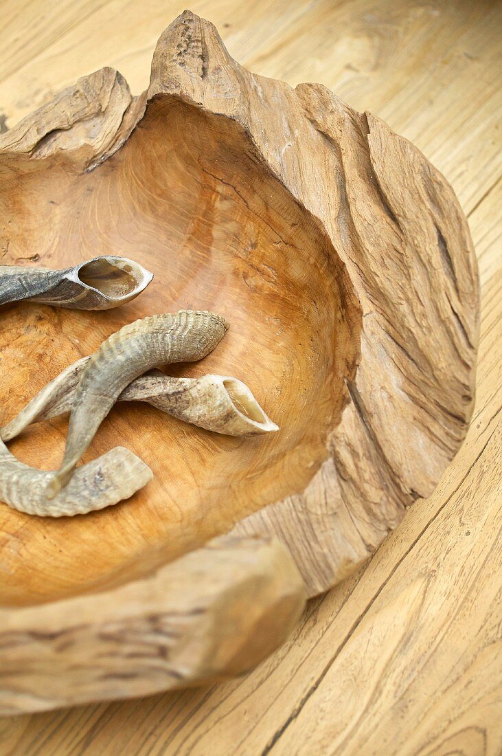 Sheep horns in rough wooden bowl