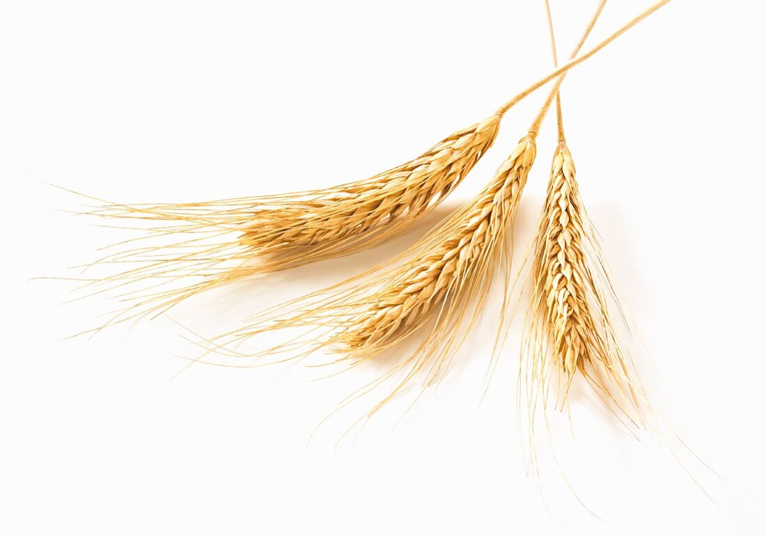 Three ears of wheat