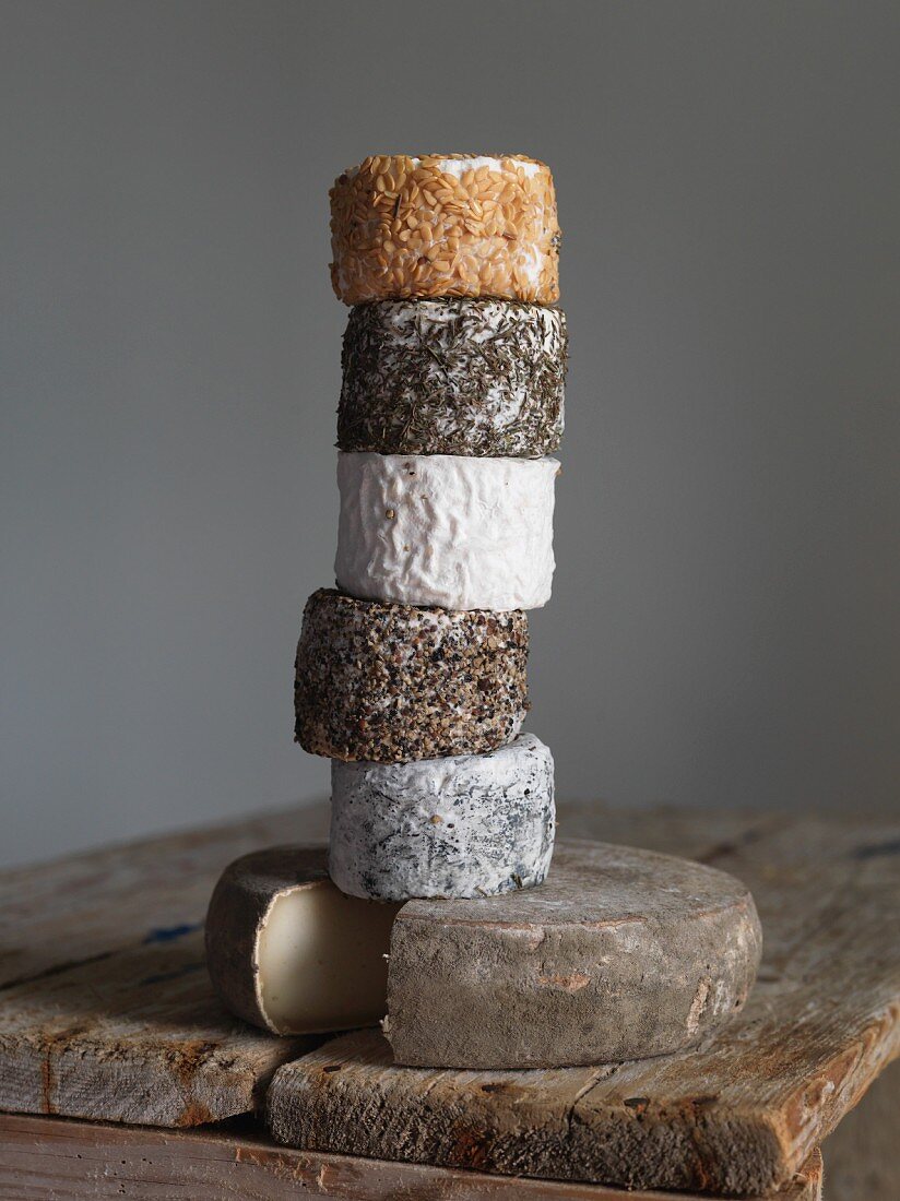 Various types of goat's cheese from Normandy