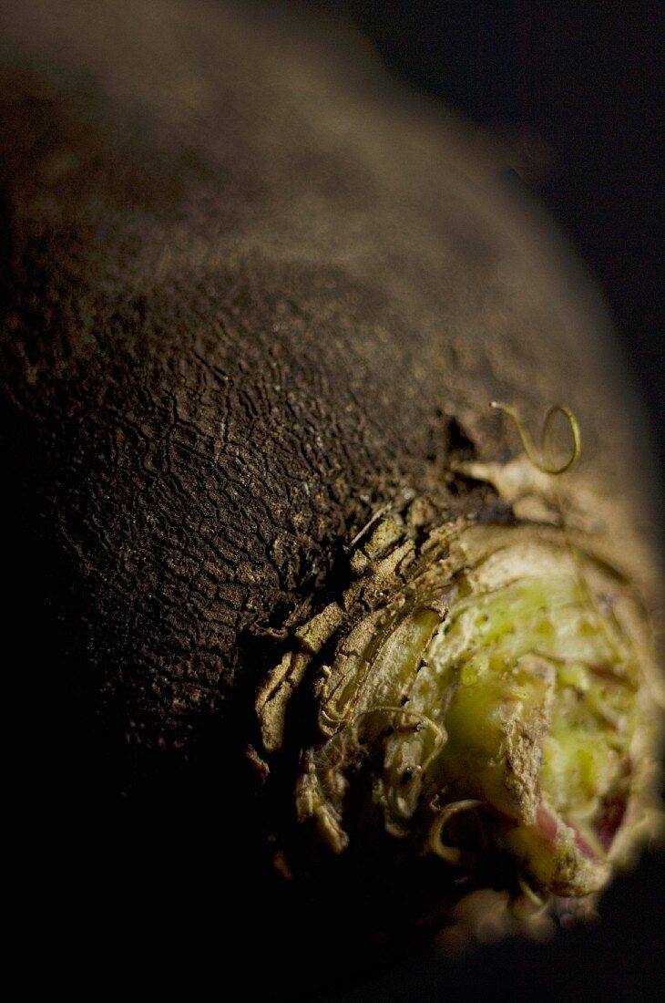 Horseradish (close-up)