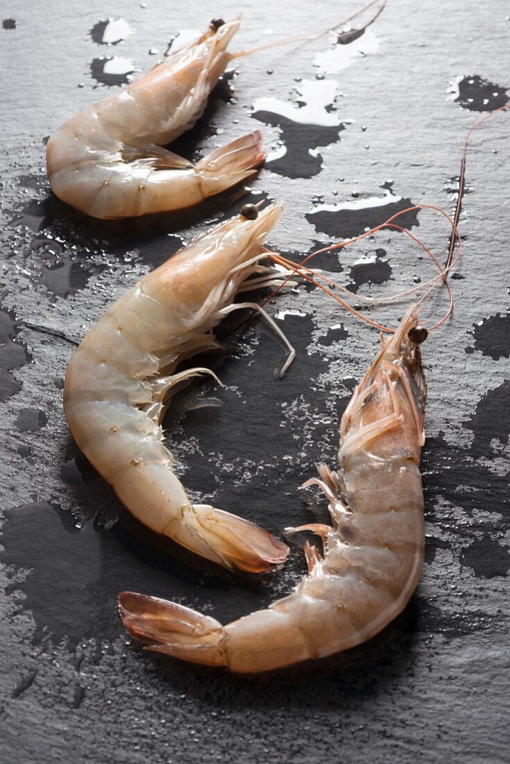 Fresh king prawns on a slate surface