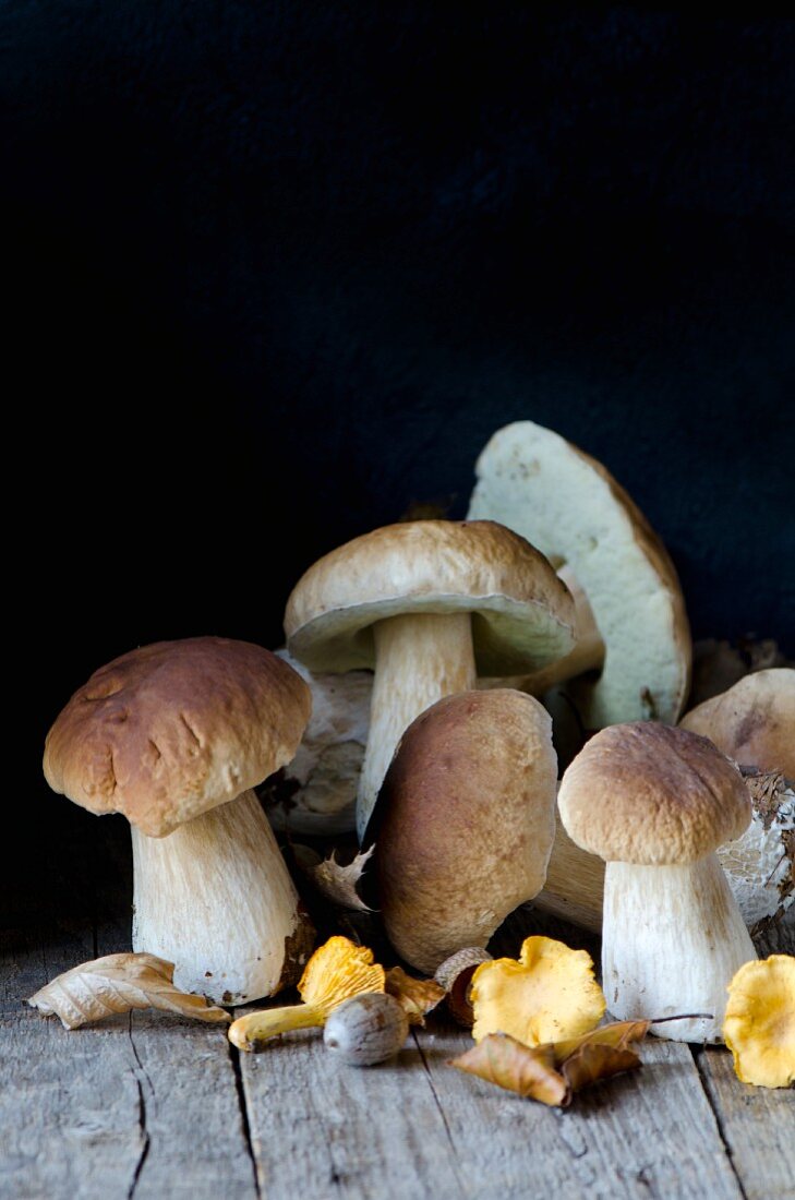 Ceps and chanterelles