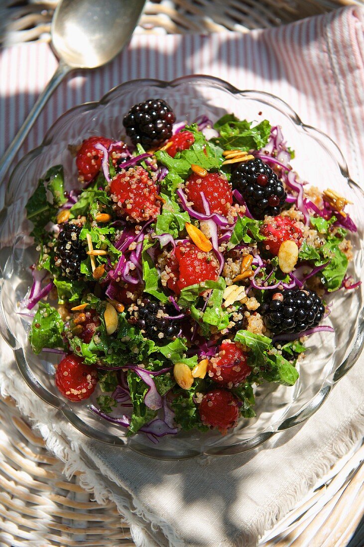 Leichter Quinoasalat mit Rotkohl und Beeren