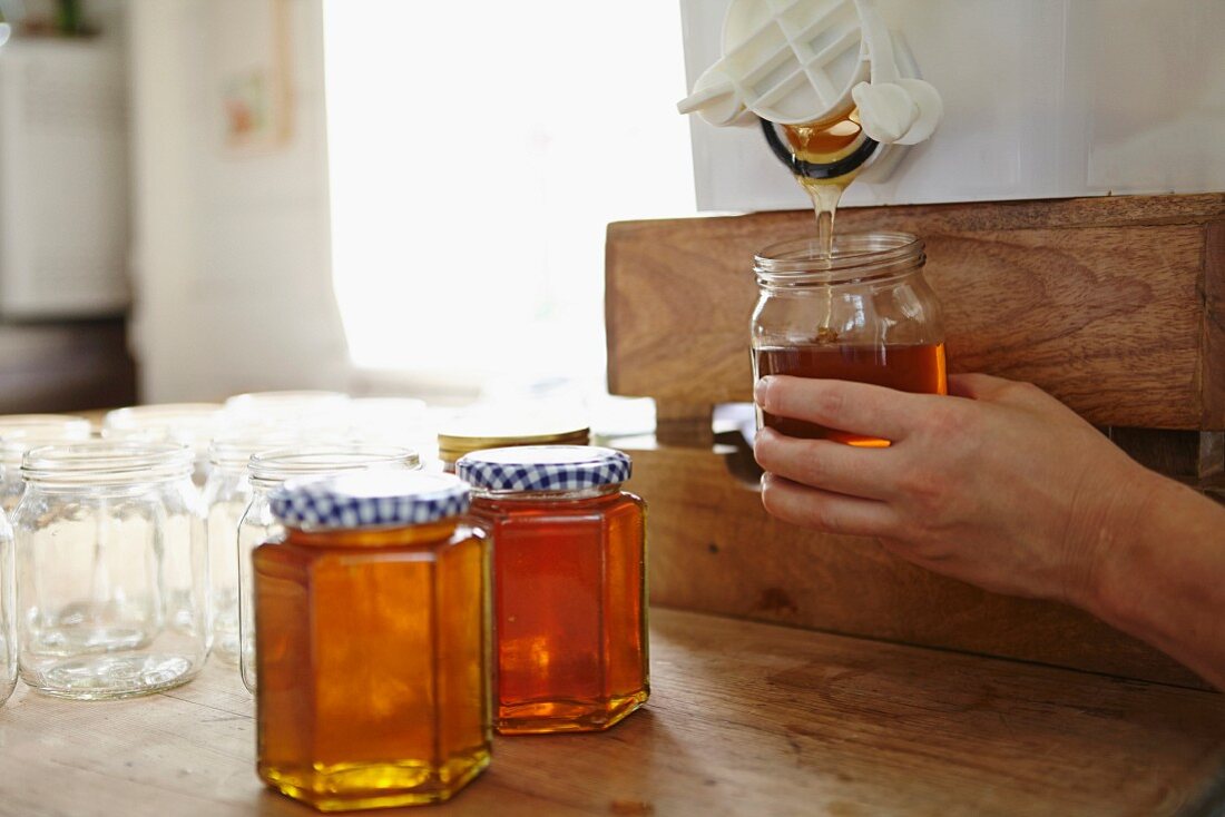 Honig wird in Gläsern abgefüllt