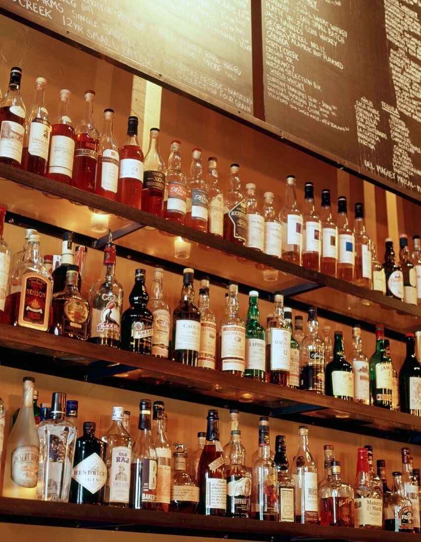 Spirituosen auf Glasregal in einer Bar