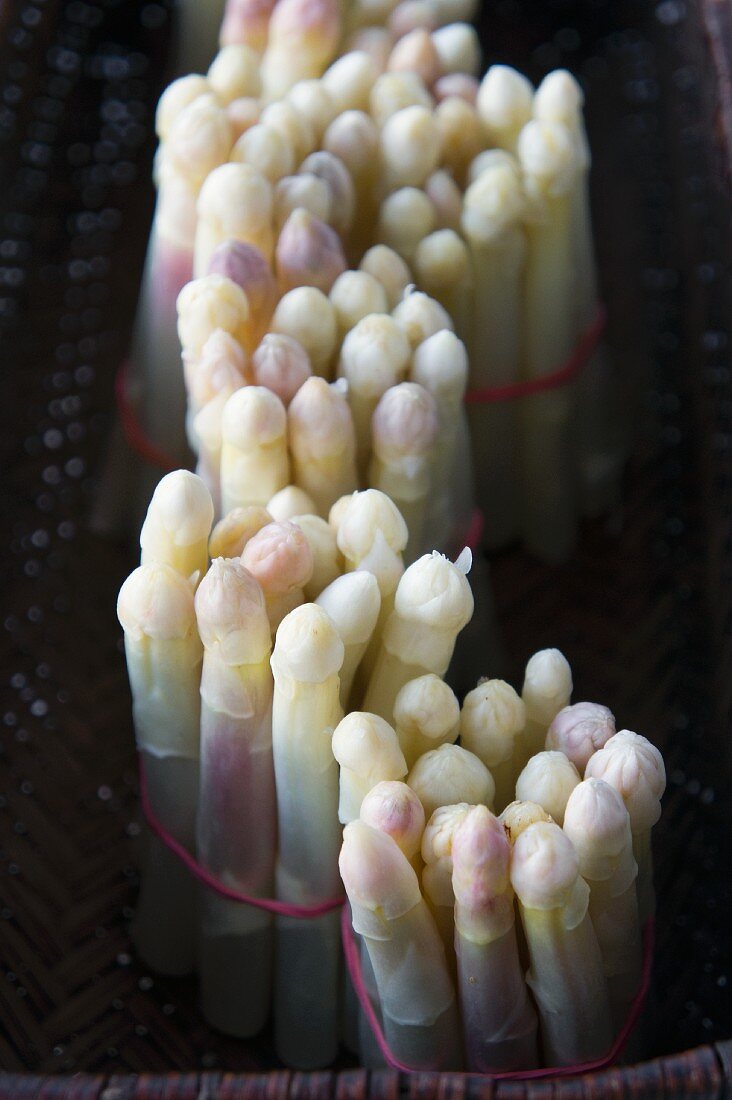 Bundles of white asparagus